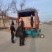白玉山药豆苗现货供应货源充足需要的联系价格美丽