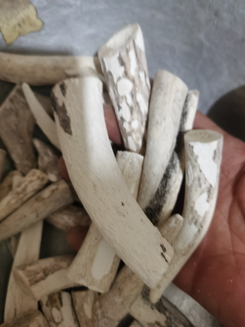 鹿角霜泽润中药批发零售各种中药材