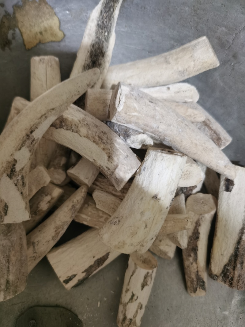 鹿角霜泽润中药批发零售各种中药材