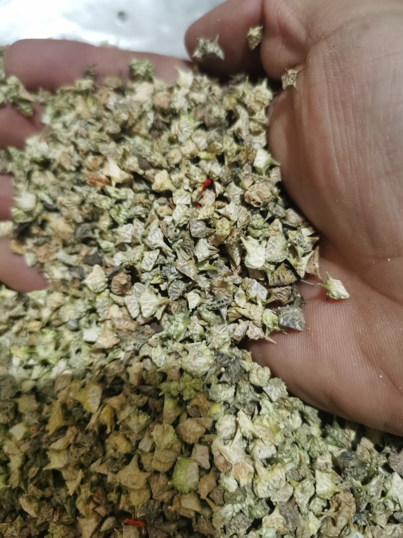 白蒺藜新货白蒺藜泽润中药批发零售各种中药材