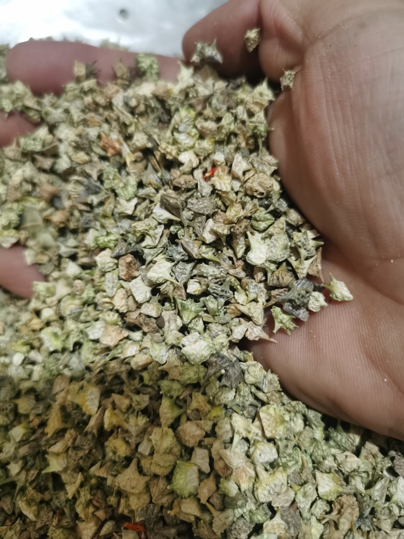 白蒺藜新货白蒺藜泽润中药批发零售各种中药材