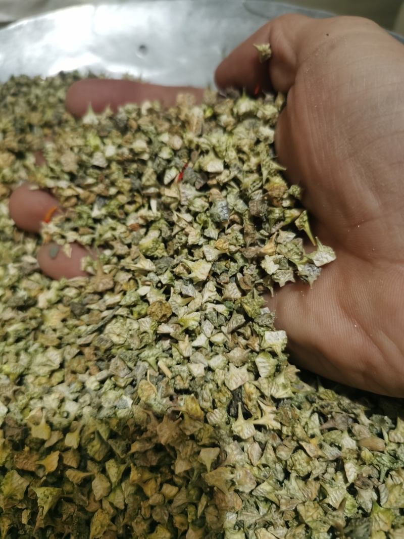 白蒺藜新货白蒺藜泽润中药批发零售各种中药材