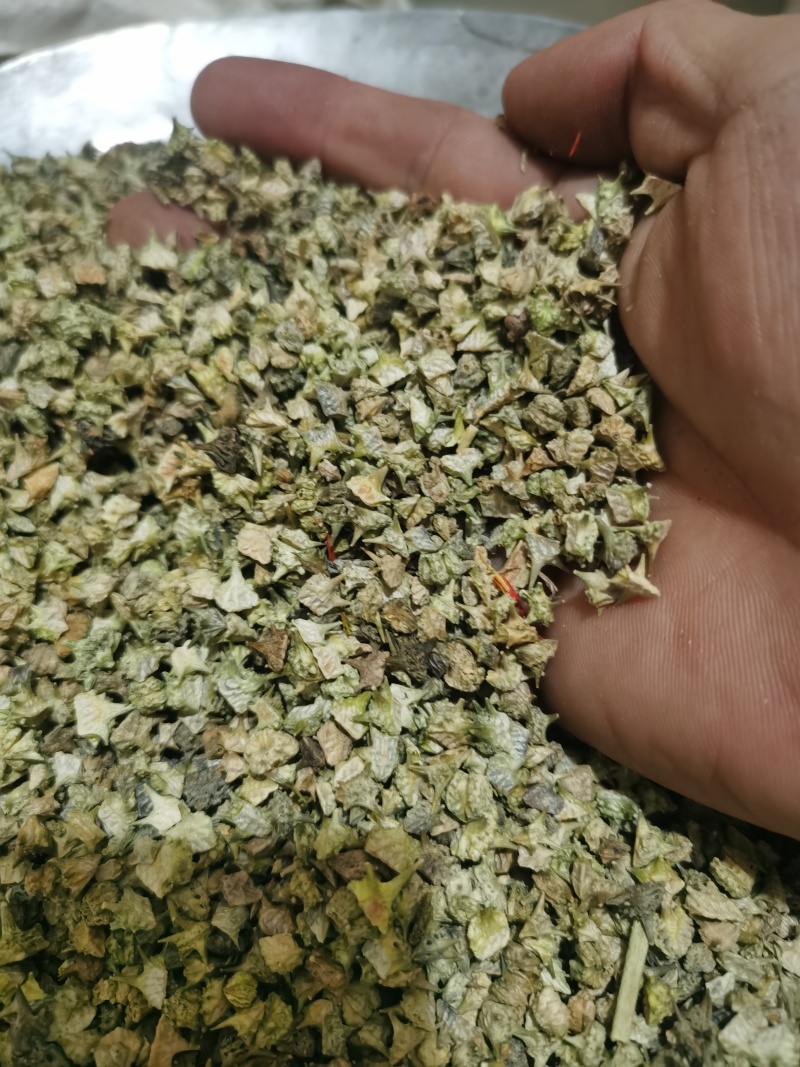 白蒺藜新货白蒺藜泽润中药批发零售各种中药材