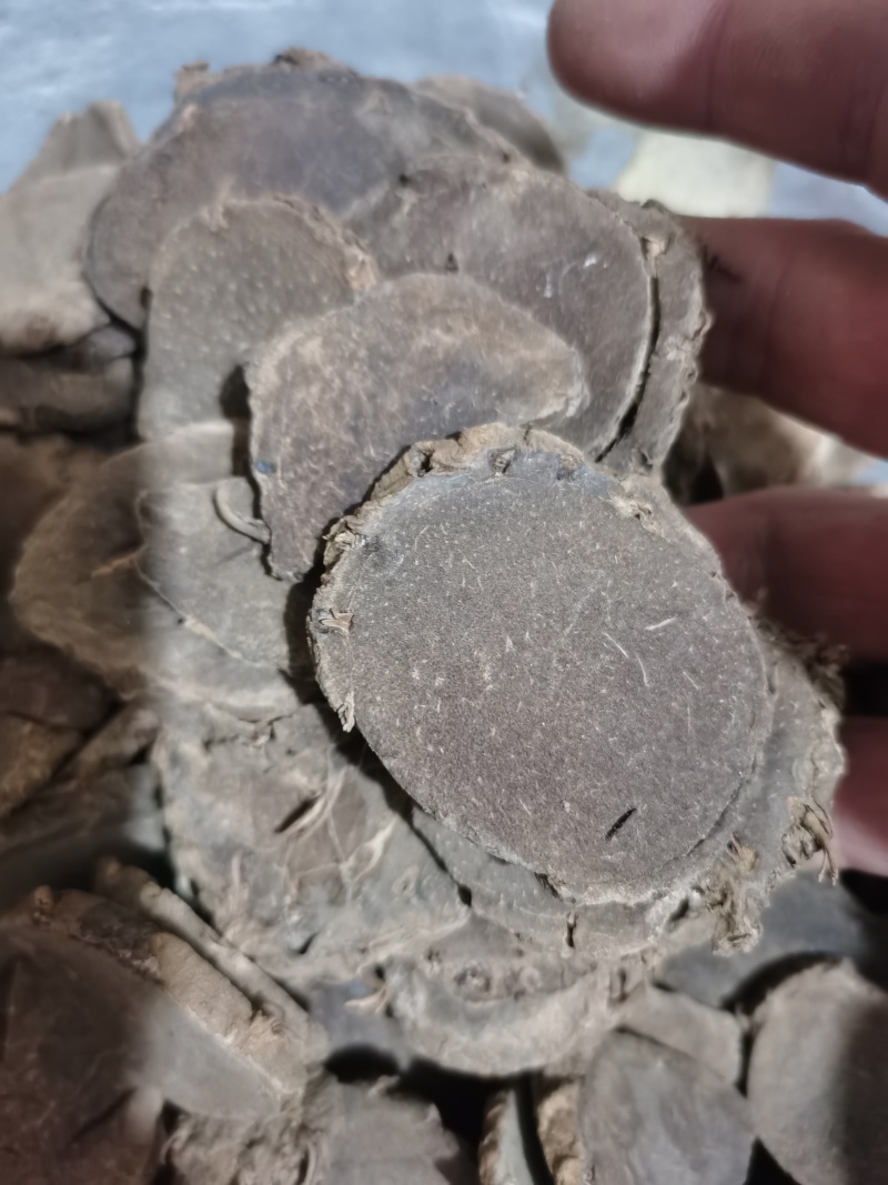 莪术醋炒莪术泽润中药批发零售各种中药材