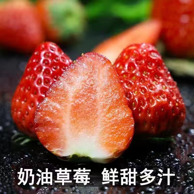 草莓
