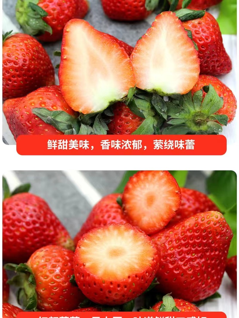 草莓