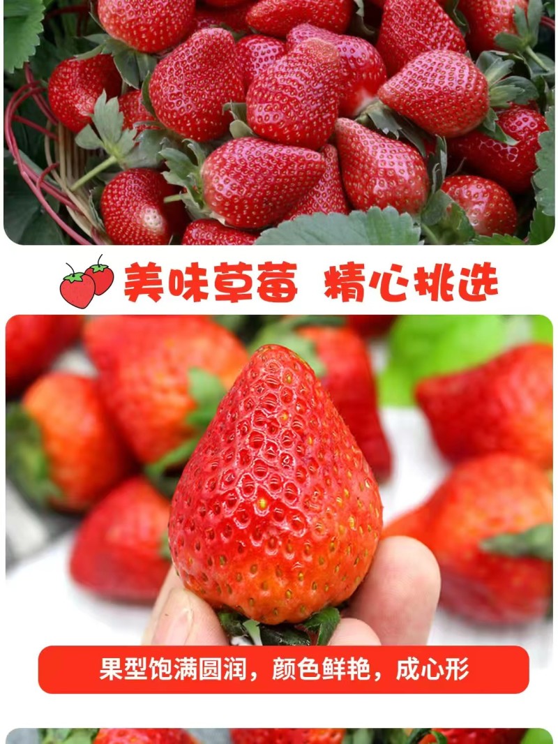 草莓