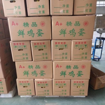 粉壳鲜鸡蛋