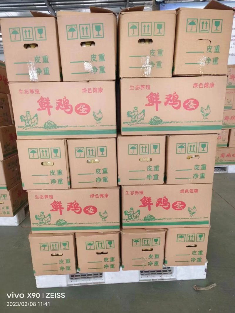 粉壳鲜鸡蛋