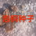 泡桐种子大量出售