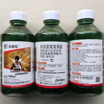 金朗锐5%高效氯氟氰菊酯杀虫剂正品整箱批发价农药甘蓝菜青