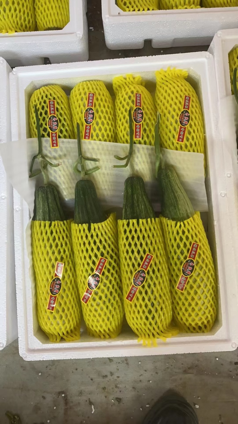 精选羊角蜜甜瓜，口感细腻，甜度十足，特惠！一条龙服务