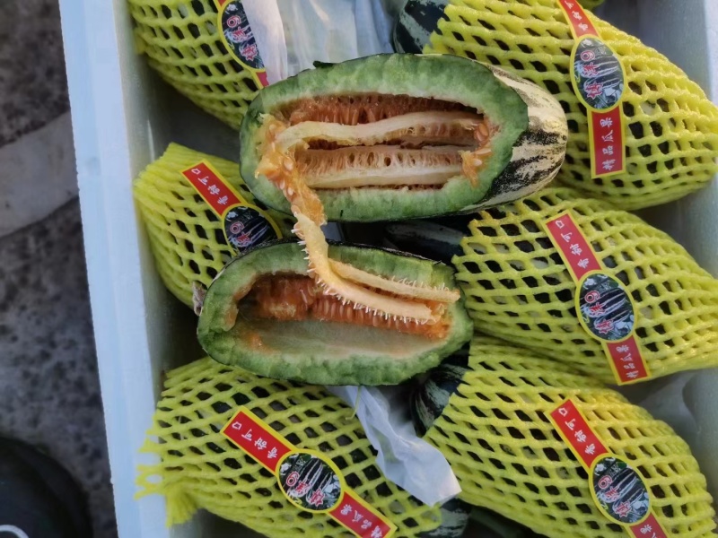 精选羊角蜜甜瓜，口感细腻，甜度十足，特惠！一条龙服务