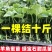 超甜白沙蜜甜瓜苗东方蜜甜瓜秧苗高产薄皮香瓜苗蔬菜苗大全秧