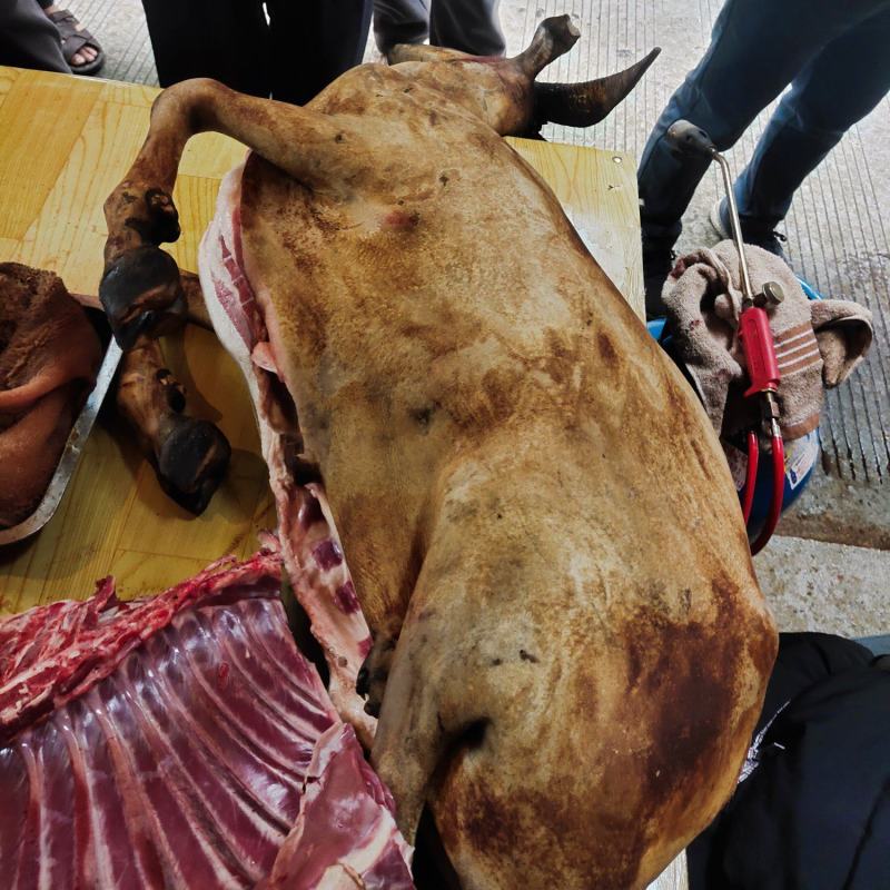 广西本土黑山羊肉