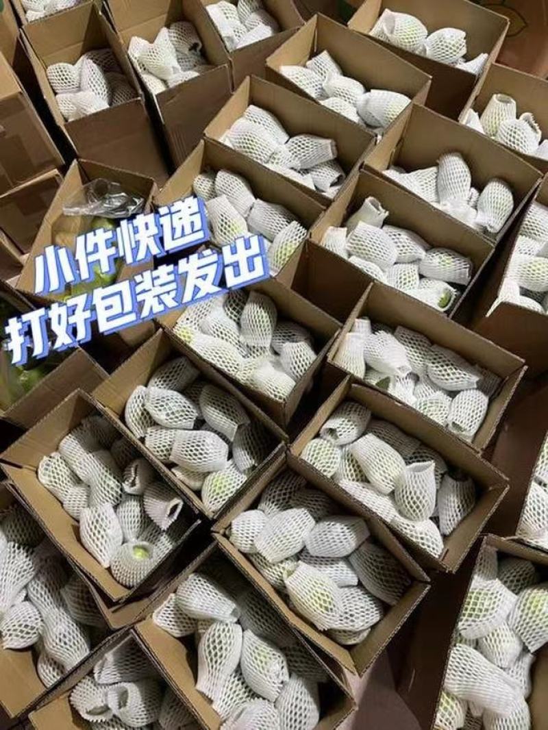 广东香水柠檬商用香味浓郁奶茶店手打柠檬批发