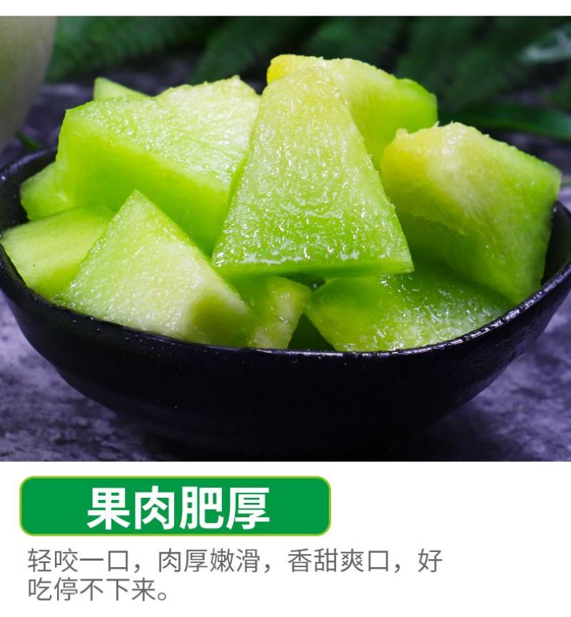 电商一件代发头茬海南玉菇甜瓜当季蜜瓜香甜瓜冰淇淋软