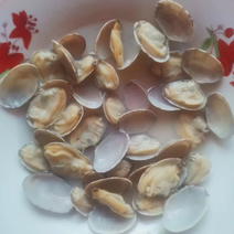 【精品蛤蜊】青岛新鲜花蛤，大量现货供应，肉质鲜嫩欢迎订购