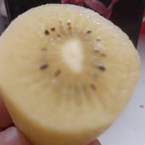 黄心猕猴桃大果一级果中果大果都有。这个果子是没打膨大剂的
