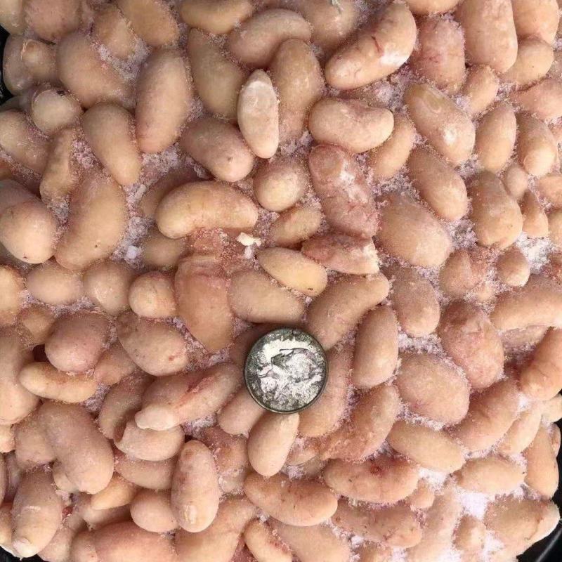 优质冰冻黄鸡腰