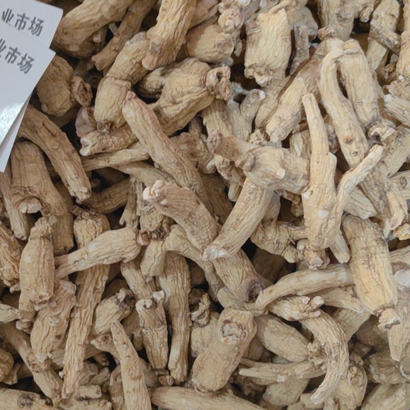 白参个精品无硫生晒参个无须白参万信药业只做精品药材