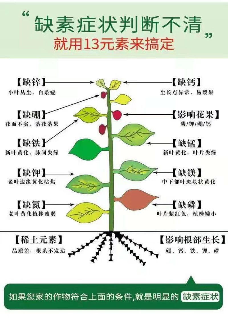 中微量元素肥厂家发货欢迎电话咨询量大从优