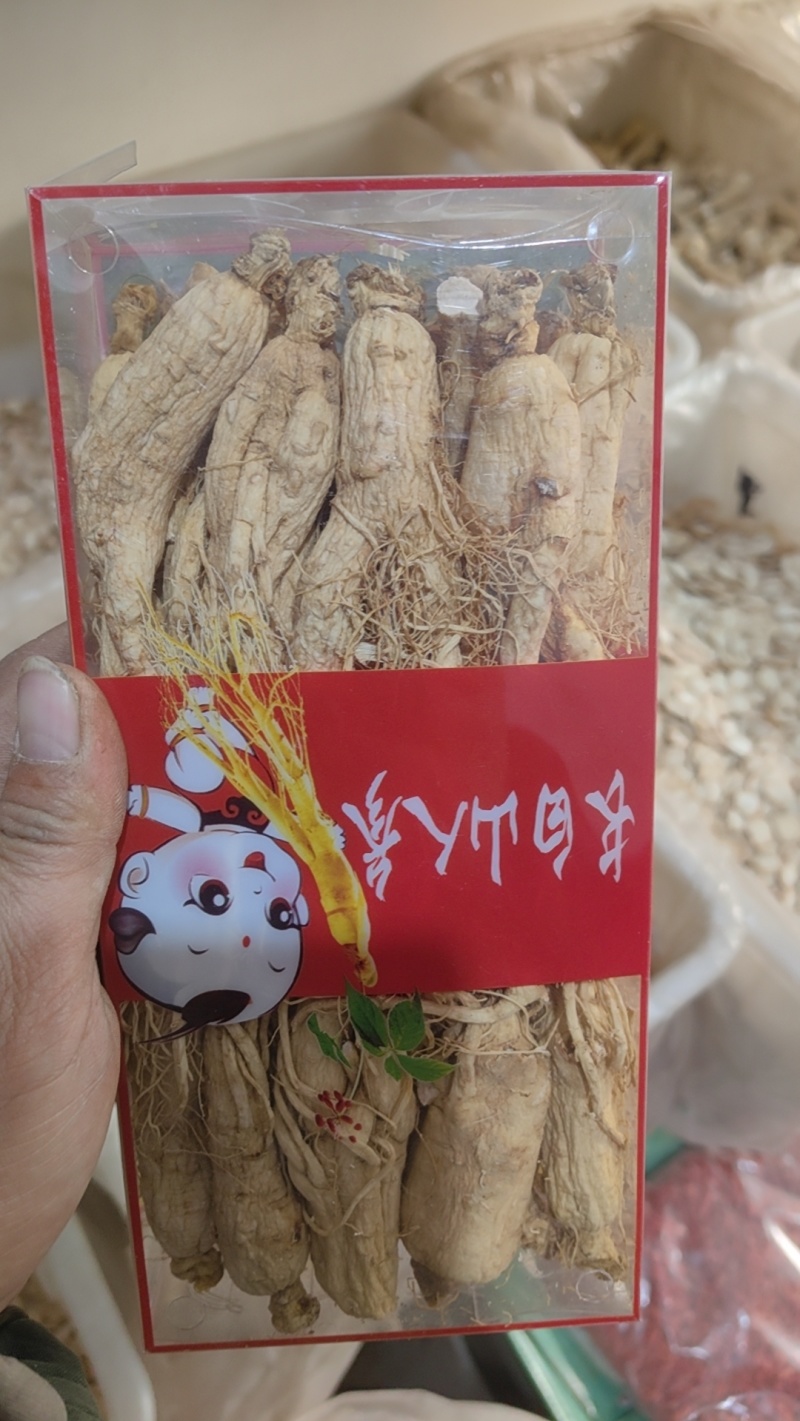 白参个精品无硫生晒参个无须白参万信药业只做精品药材