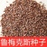 鲁梅克斯种子营养价值高新品多年生牧草种子四季牧草种子