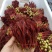 精品头茬香椿芽