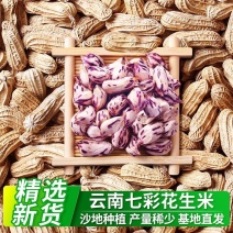 云南文山【彩色花生】基地直发质量保证欢迎来电
