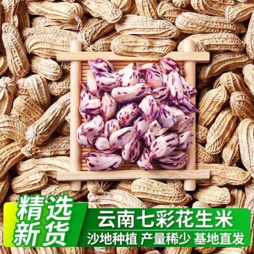 云南文山【彩色花生】基地直发质量保证欢迎来电