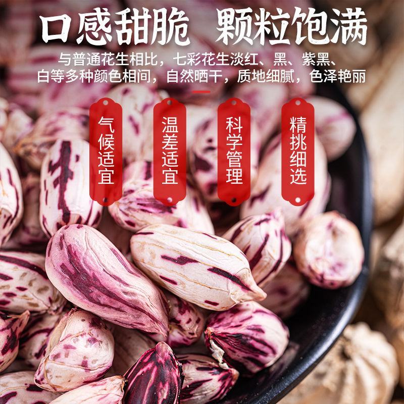 云南文山【彩色花生】基地直发质量保证欢迎来电