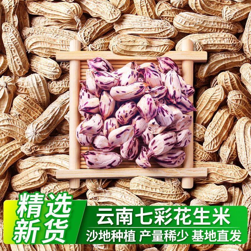云南文山【彩色花生】基地直发质量保证欢迎来电