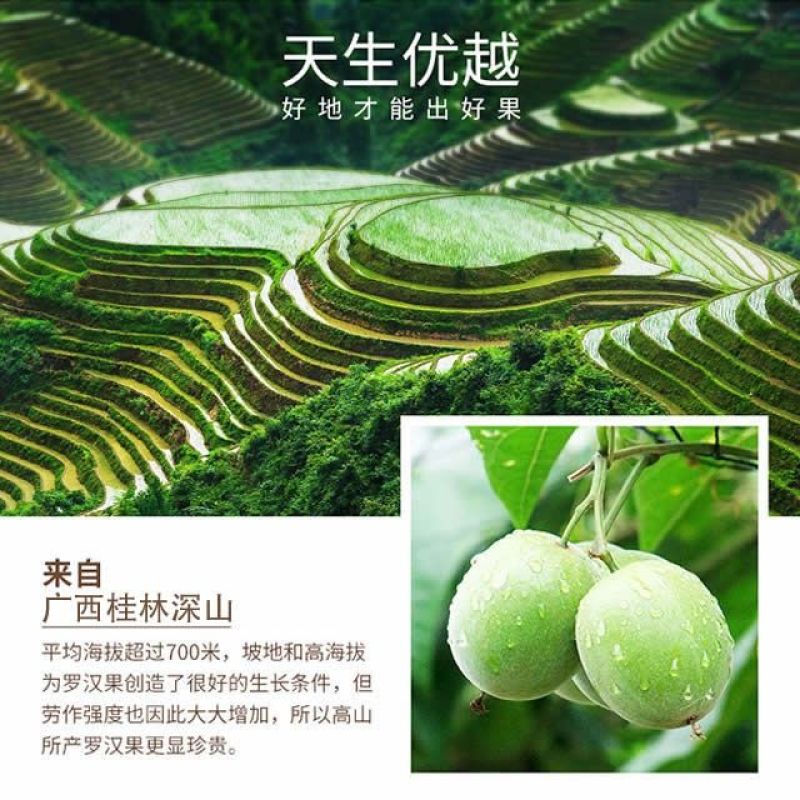 【实力商家】产地批发精品罗汉果大量供应视频看货荐