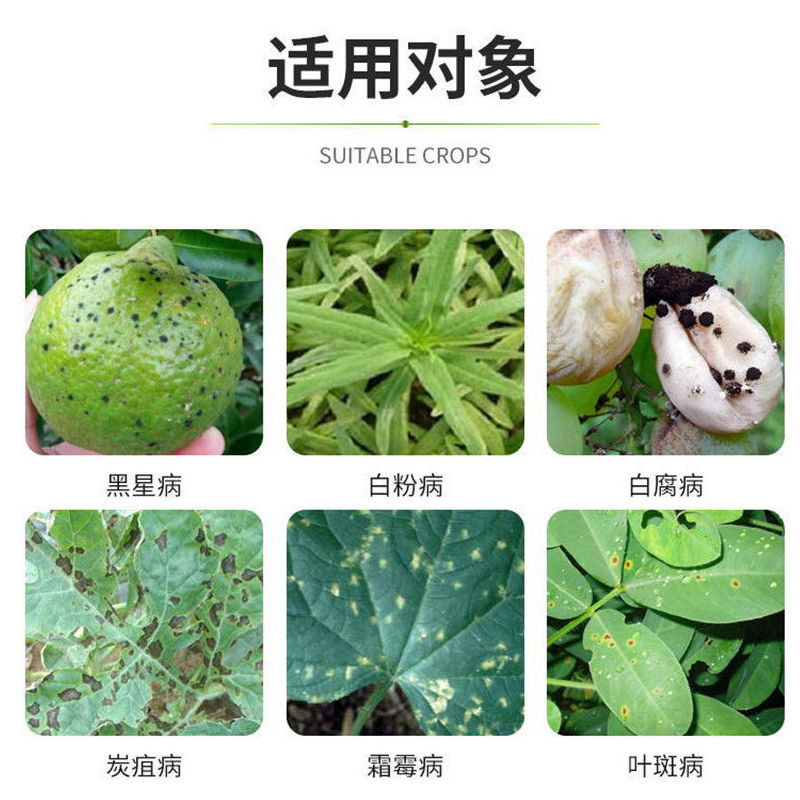 透靓40%苯醚甲环唑铝瓶炭疽病白粉黑星病锈病通用杀菌剂