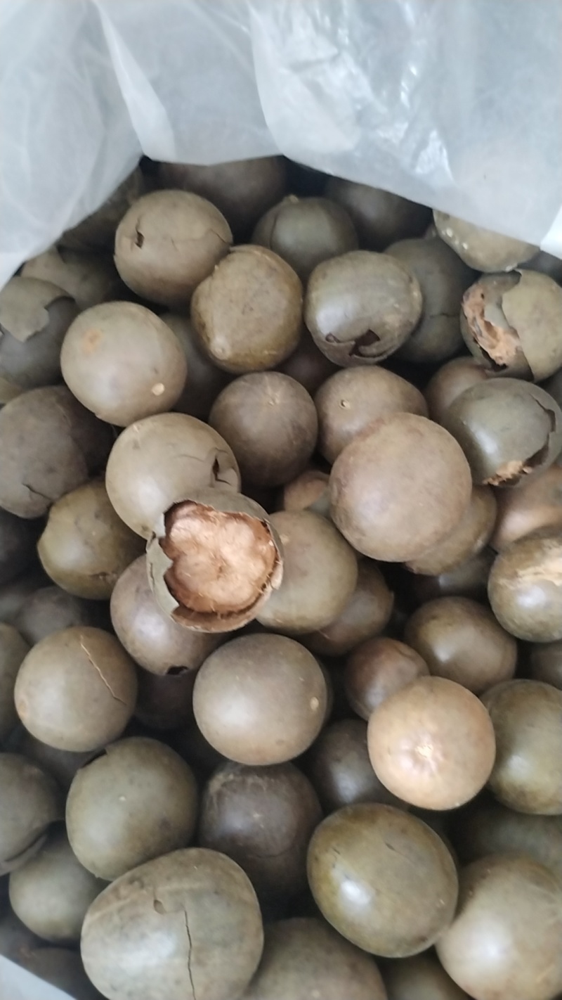 罗汉果破果大量供应价格优惠
