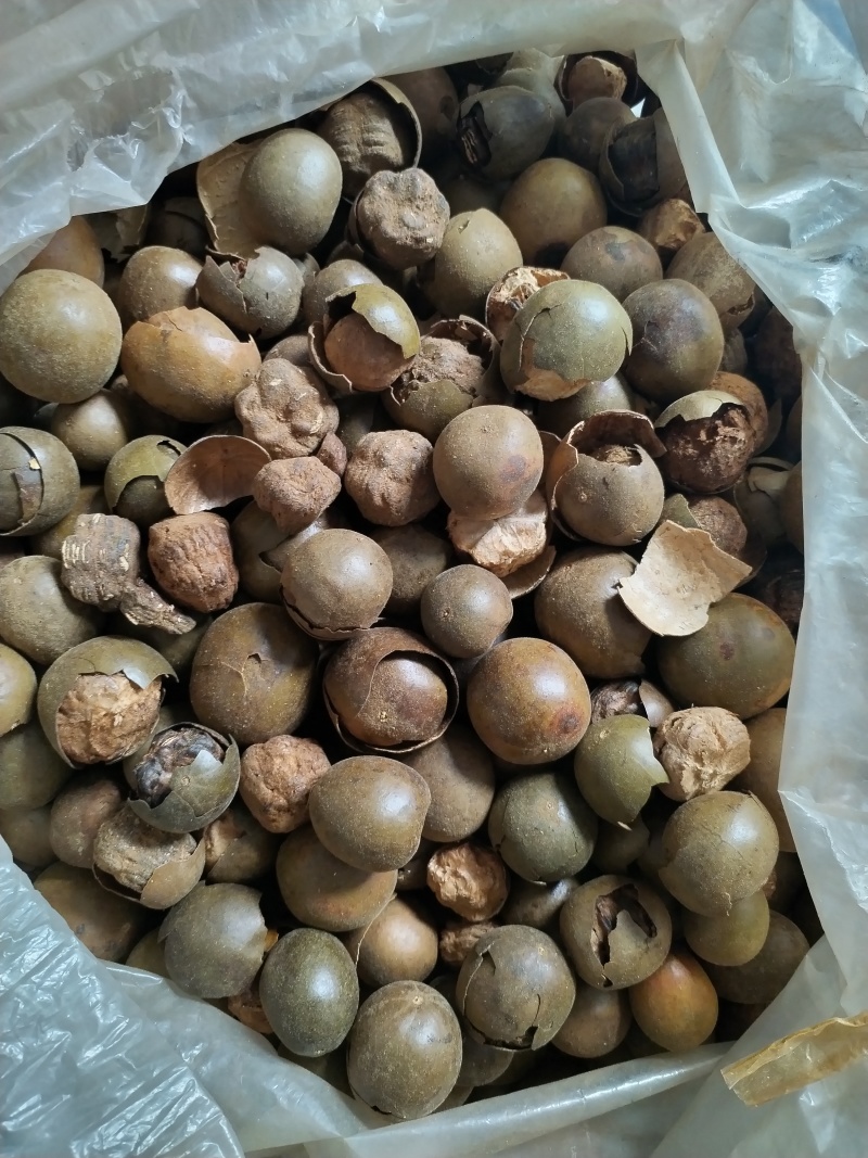 罗汉果破果大量供应价格优惠