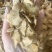 三叉白芨白芨片实物拍摄质量保证