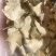 三叉白芨白芨片实物拍摄质量保证