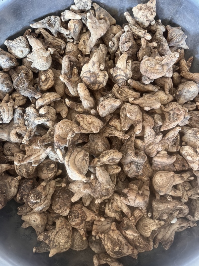 白芨个通货三叉白芨质量保证实物拍摄