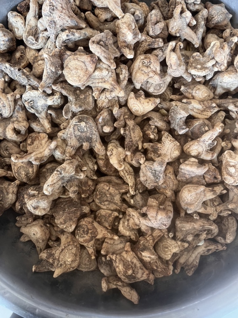 白芨个通货三叉白芨质量保证实物拍摄