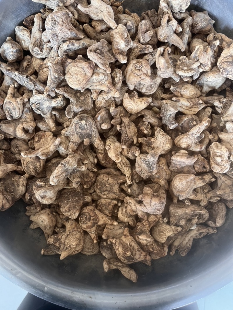 白芨个通货三叉白芨质量保证实物拍摄