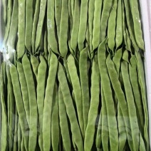 精品芸豆扁青芸豆货源充足量大从优对接全国欢迎咨询