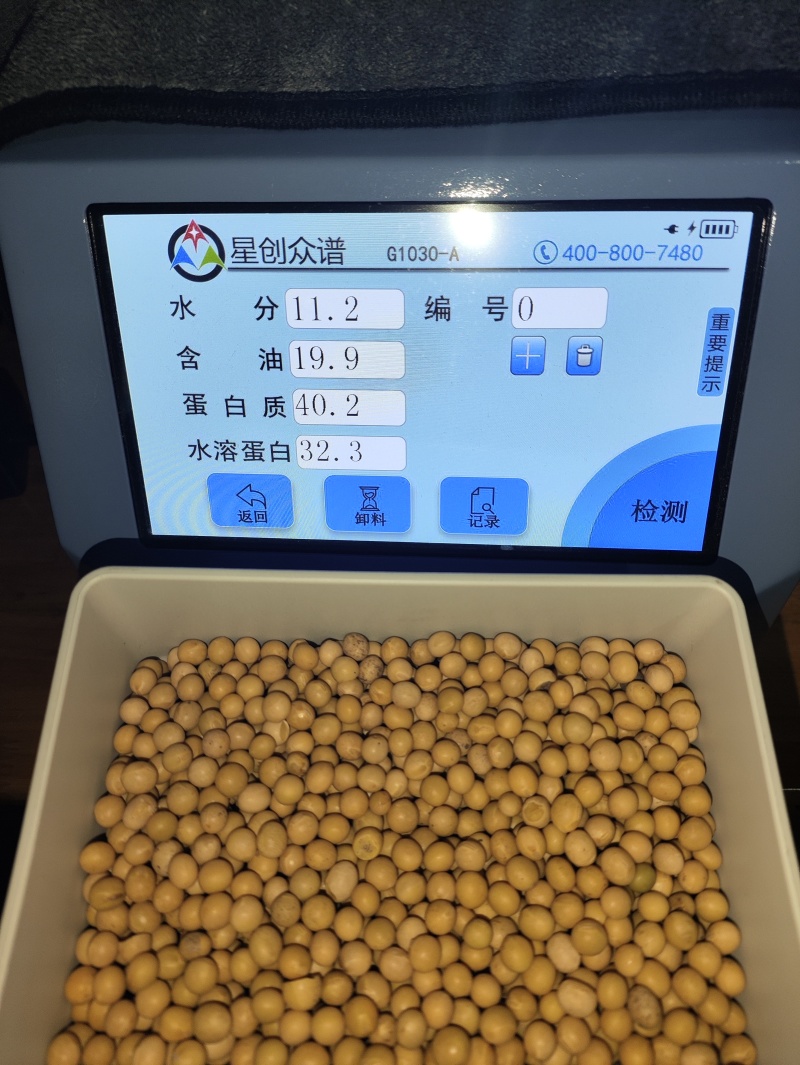 【推荐】黄豆东北红玖大颗粒黄豆量大价优欢迎联系