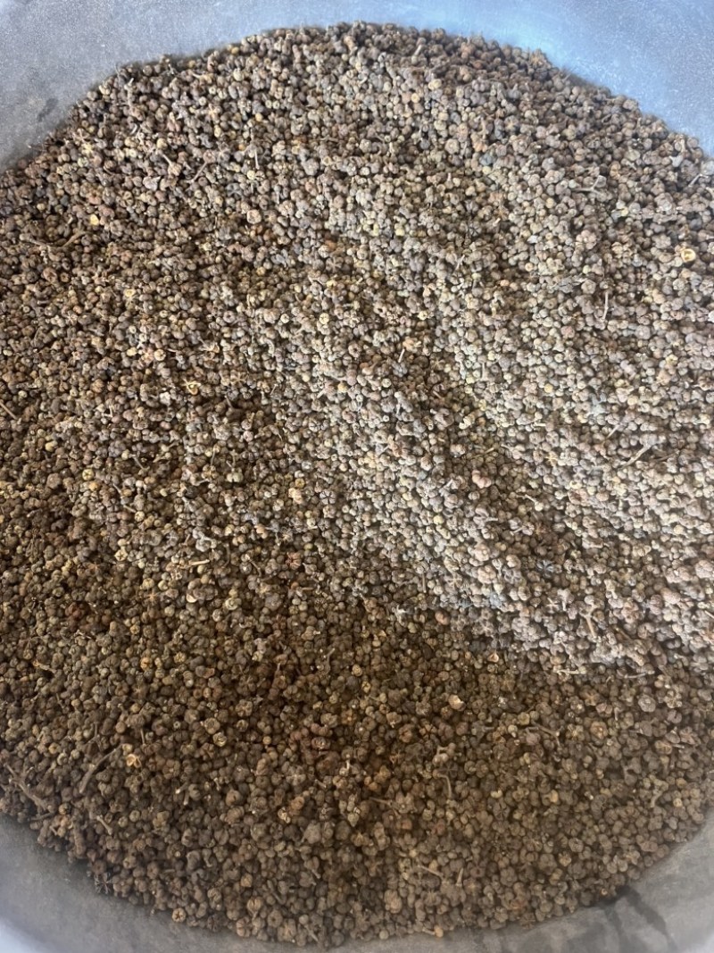 吴茱萸产地江西产地直销实物拍摄