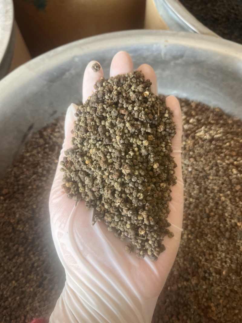 吴茱萸产地江西产地直销实物拍摄