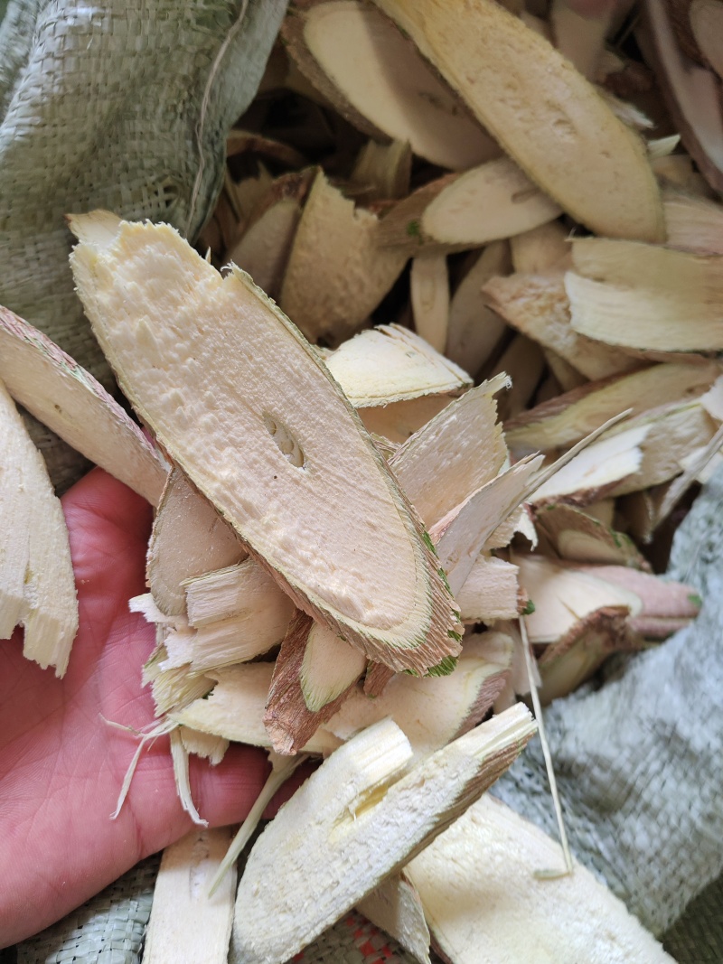 辣木杆切片辣木片辣木杆切片干货大货批发