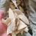 辣木杆切片辣木片辣木杆切片干货大货批发