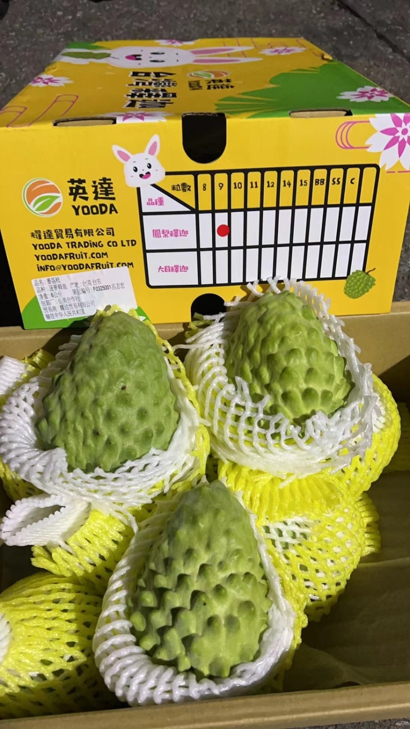 台湾释迦果