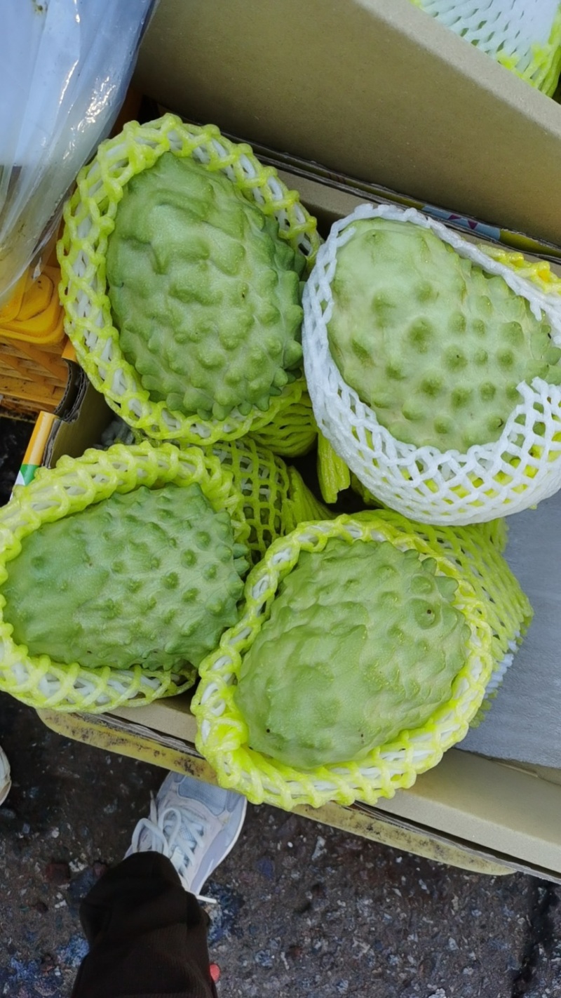 台湾释迦果